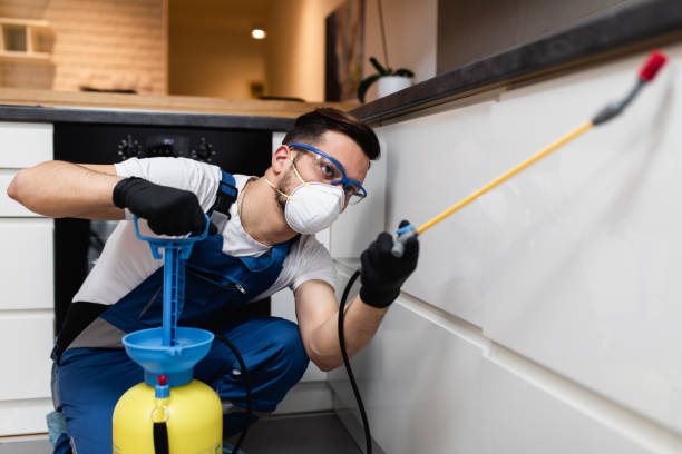 Best Local Pest Control Services  in Kountze, TX