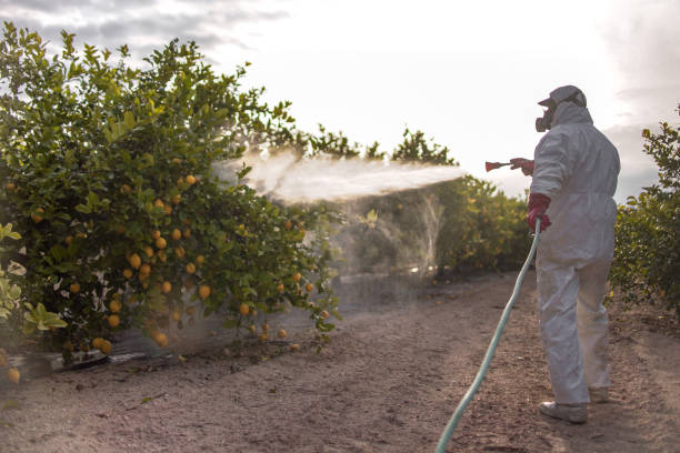 Best Exterminator Services  in Kountze, TX