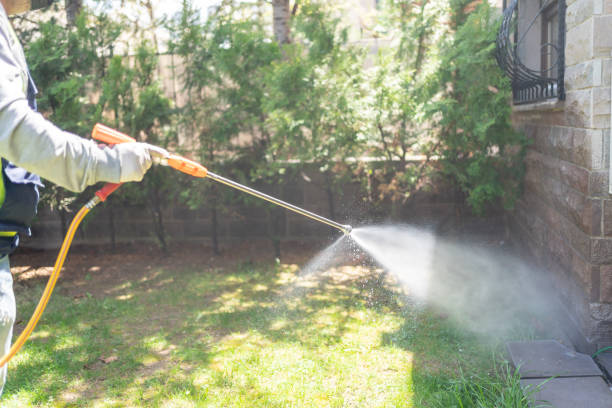 Best Affordable Pest Control Services  in Kountze, TX