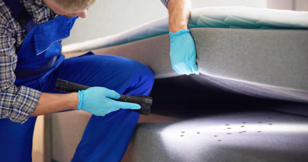 Best Emergency Pest Control  in Kountze, TX