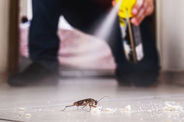 Best Pest Control for Restaurants  in Kountze, TX