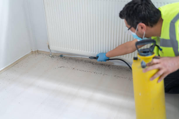 Best Bed Bug Extermination  in Kountze, TX