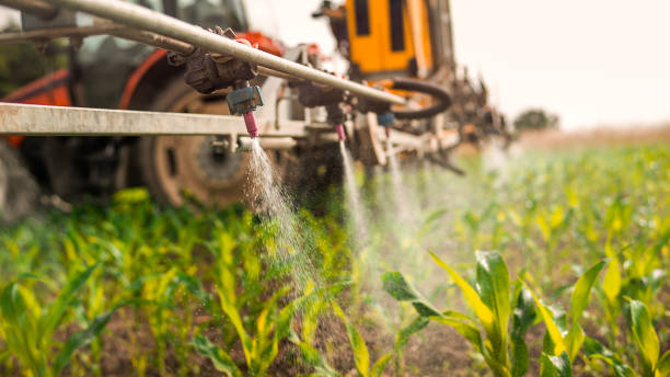 Best Wildlife Control Services  in Kountze, TX